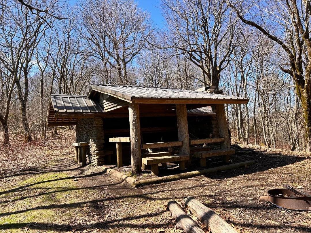 Tucked Away Cabin بيدجن فورج المظهر الخارجي الصورة